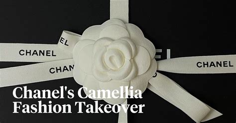 camelia de chanel 2016|Chanel vase with flowers.